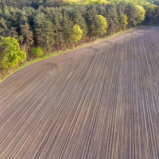 campo arado